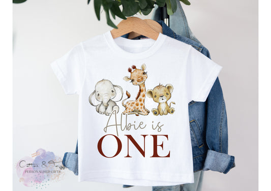 Personalised Kids Safari Birthday T-Shirt - Childrens Birthday Top